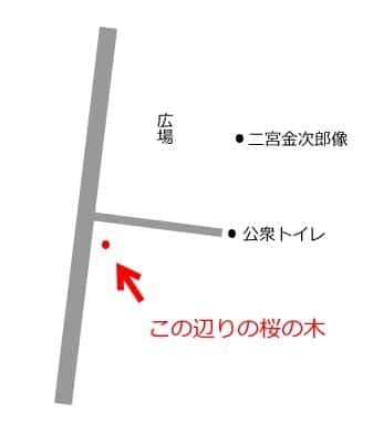 弘前公園 穴場の桜 簡易MAP